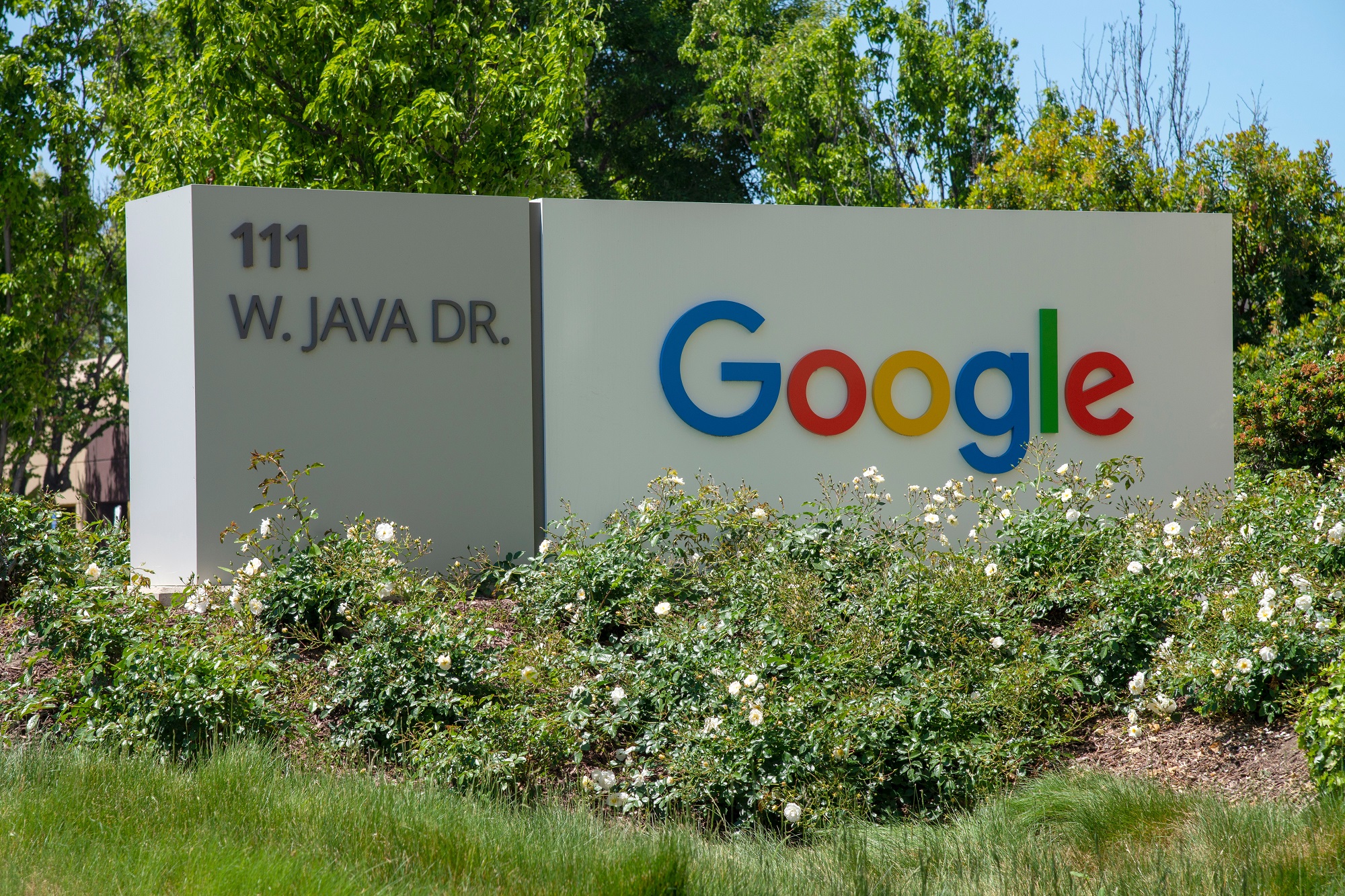 Google Bard è pronto per un nuovo aggiornamento