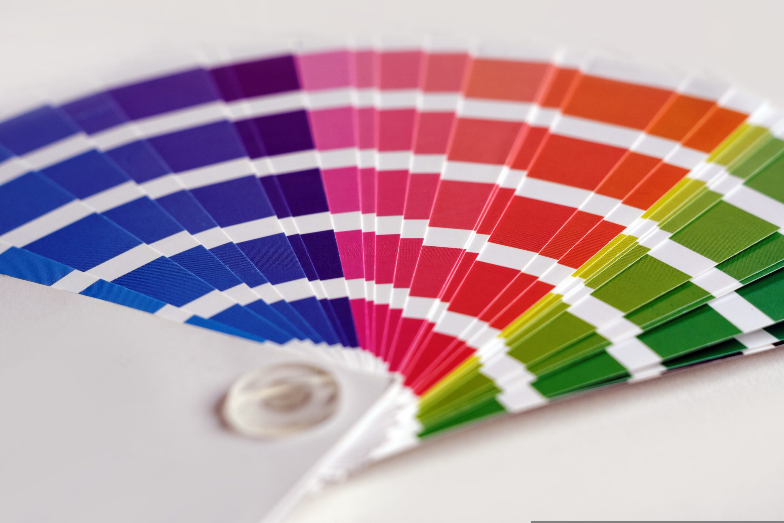 Palette di colori: perché è così importante scegliere con cura i colori per il proprio sito web
